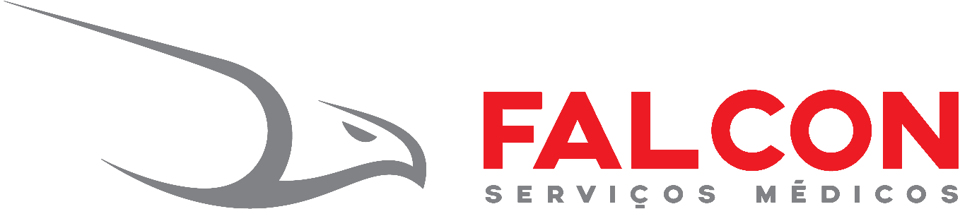 Falcon Service